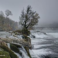 2014-11-22 11-38-23 hdr