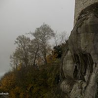 2014-11-22 12-14-14
