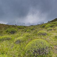 2017-01-03 14-36-52
