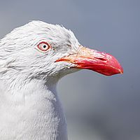 2016-12-26 15-30-24
