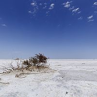 2017-01-26 12-18-26