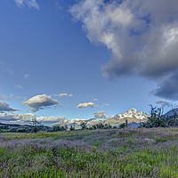 2017-01-11 07-19-51 hdr