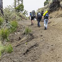 2017-05-04 13-38-53