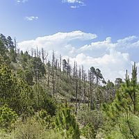 2017-05-04 13-55-41