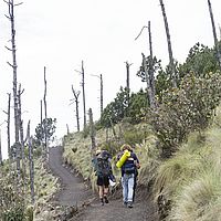 2017-05-04 14-15-46