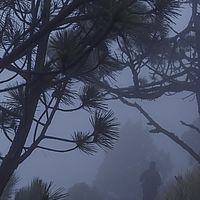 2017-05-05 05-53-16