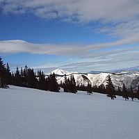 2007-01-03 11-17-34