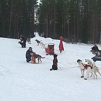 2007-12-17 12-00-00 shot1