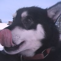 2007-12-17 12-00-00 shot2