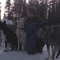 2007-12-17 12-00-00 shot7