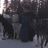2007-12-17 12-00-00 shot8