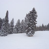 2007-01-05 10-32-37