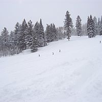 2007-01-05 10-32-52
