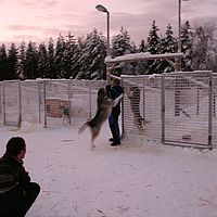 2007-12-15 14-13-50
