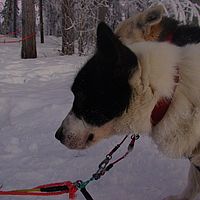 2007-12-16 14-08-19