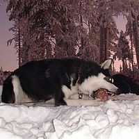 2007-12-16 14-36-54