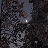 2007-12-16 14-50-31