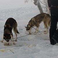 2007-12-17 09-54-42