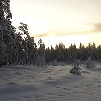 2007-12-17 09-56-30