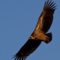 2012-04-30 16-23-56