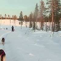 2007-12-17 11-56-38