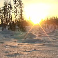 2007-12-17 11-58-56