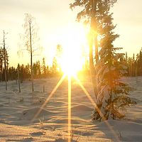 2007-12-17 11-59-11
