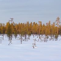 2007-12-18 12-08-35