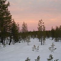 2007-12-18 13-11-28