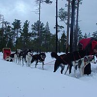 2007-12-19 12-00-59