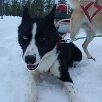 2007-12-19 12-02-01