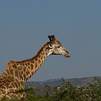 2012-05-04 09-34-05
