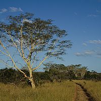 2012-05-08 15-33-44