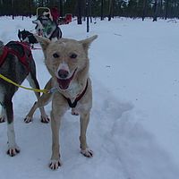 2007-12-19 12-03-15