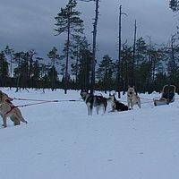 2007-12-19 12-03-41
