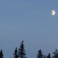 2007-12-19 13-37-18