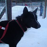 2007-12-19 13-43-56
