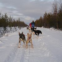 2007-12-20 10-50-13