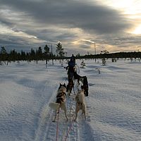 2007-12-20 11-21-33