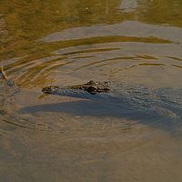 2012-05-12 12-01-26