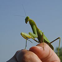 2012-05-12 13-40-32
