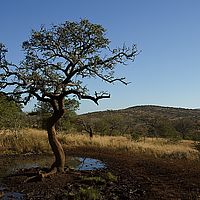 2012-05-17 15-19-35