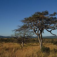 2012-05-17 15-38-33