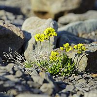 2014-06-29 10-03-20