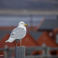 2014-06-29 16-46-58