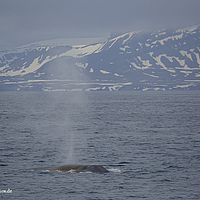 2014-06-30 22-25-08