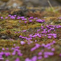 2014-07-01 10-03-53
