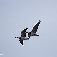 2014-07-01 10-15-10