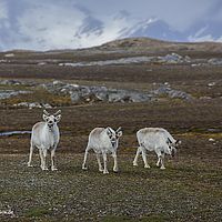 2014-07-01 10-52-01