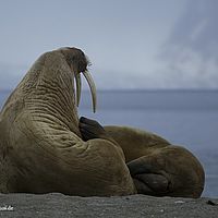 2014-07-01 17-54-32